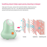 Nano Ionic Face Steamer - AIOne Shop